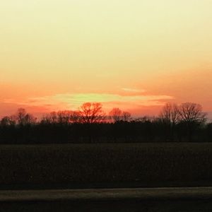 Meet your Posher, Scarlett